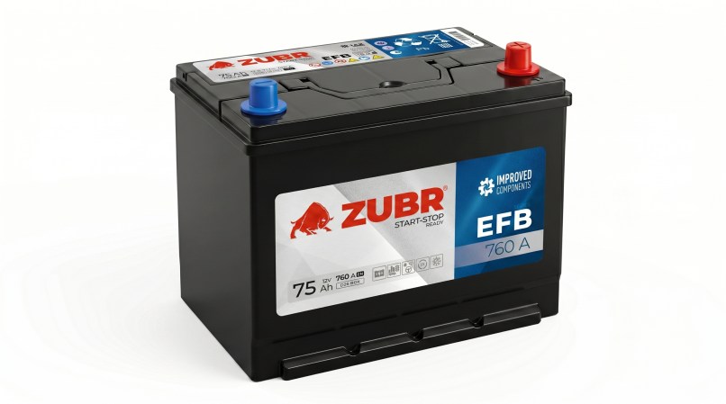 75 ASIA EFB ZUBR